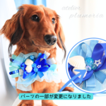 鮮やかブルーの夏の海辺チョーカー💙～ワンちゃん ネコちゃん用～  犬用チョーカー 　真夏のチョーカー　 