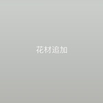 【追加】ドライフラワー　花材追加分