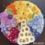 カラフルな押し花素材☆花材アソート