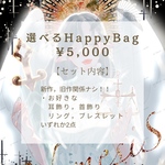 🛍️選べるハッピーバック　ピアス/イヤリング💎
