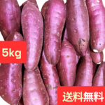 さつまいも！紅はるか ♪ サツマイモ ♪ ５キロ 千葉 茨城産