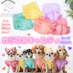 カラフルキャンディ🍬シャツブラウスワンピース🌈犬服 おそろい ペアルック 撮影会 友達 多頭飼い ギンガムチェック パステルカラー カラバリ豊富 推し活 プレゼント オフ会 サイズオーダーハンドメイド