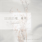 1113111様専用　order page