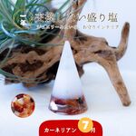 カーネリアン ＼ 7月 誕生石 ／ 交換不要 盛り塩 ２個 セット  円錐6.5cm 風水 玄関 水晶 オシャレ プレゼント 女性 インテリア雑貨