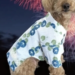 ✾ペット甚平 ✾ 男の子 Mサイズ 小型犬  ガーゼ浴衣 完成品 