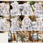❁⃘*.ﾟFAIRY Rabbit❁⃘*.ﾟ