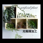光触媒加工　フェイクグリーン　ウォールグリーンStairs A14