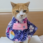 紫浴衣ドレス