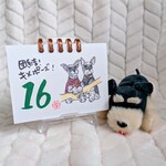 シュナまみれ♪日めくりカレンダー vol.3