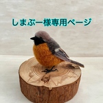 ジョウビタキ(しまぶー様専用ページ)