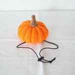 ハロウィンのかぼちゃ帽子　ワンコ用