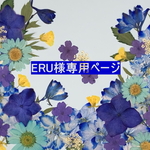 ERU様専用ページ