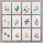 WP001　刺繍ワッペン　アイロンワッペン　綺麗な花　植物