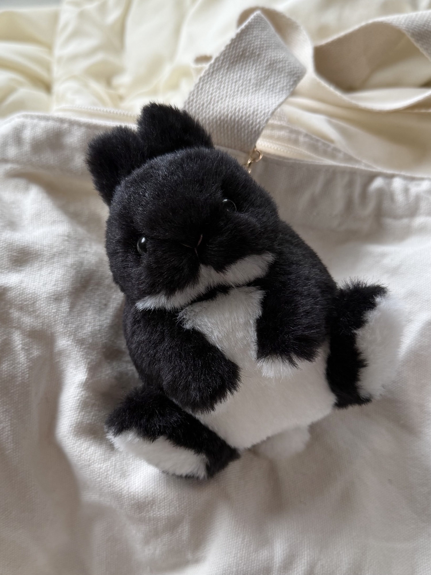 ミケロップちゃん♡フワフワロップイヤー♡①うさぎ ぬいぐるみ ロップイヤー 三毛 うさぎのしっぽ ショッピングブース最新情報☆ロップイヤー