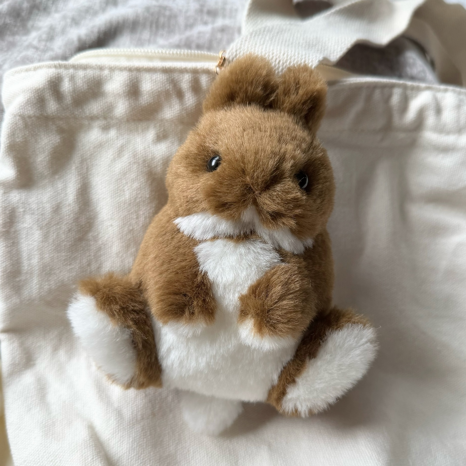 ミケロップちゃん♡フワフワロップイヤー♡①うさぎ ぬいぐるみ ロップイヤー 三毛 ミケロップちゃん♡フワフワロップイヤー♡①うさぎ ぬいぐるみ