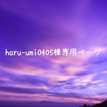 《haru-umi0405様専用ページ》