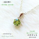 🍀ペリドット(8月誕生石)✨Silver925.Top✨ジュエリー天然石ネックレス💫 