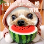 chi-cham-ocp様専用ページ♡