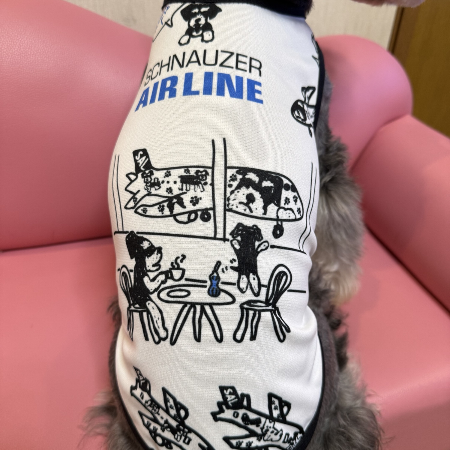 エアバギー　フロントボード　＆　ステップカバー　白 エアバギー 犬 ステップカバー＆フロントボード ネーム入 - メルカリ