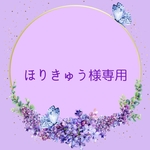 ほりきゅう様専用