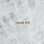 《66bd様 専用》