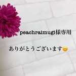 peachraimugi様専用