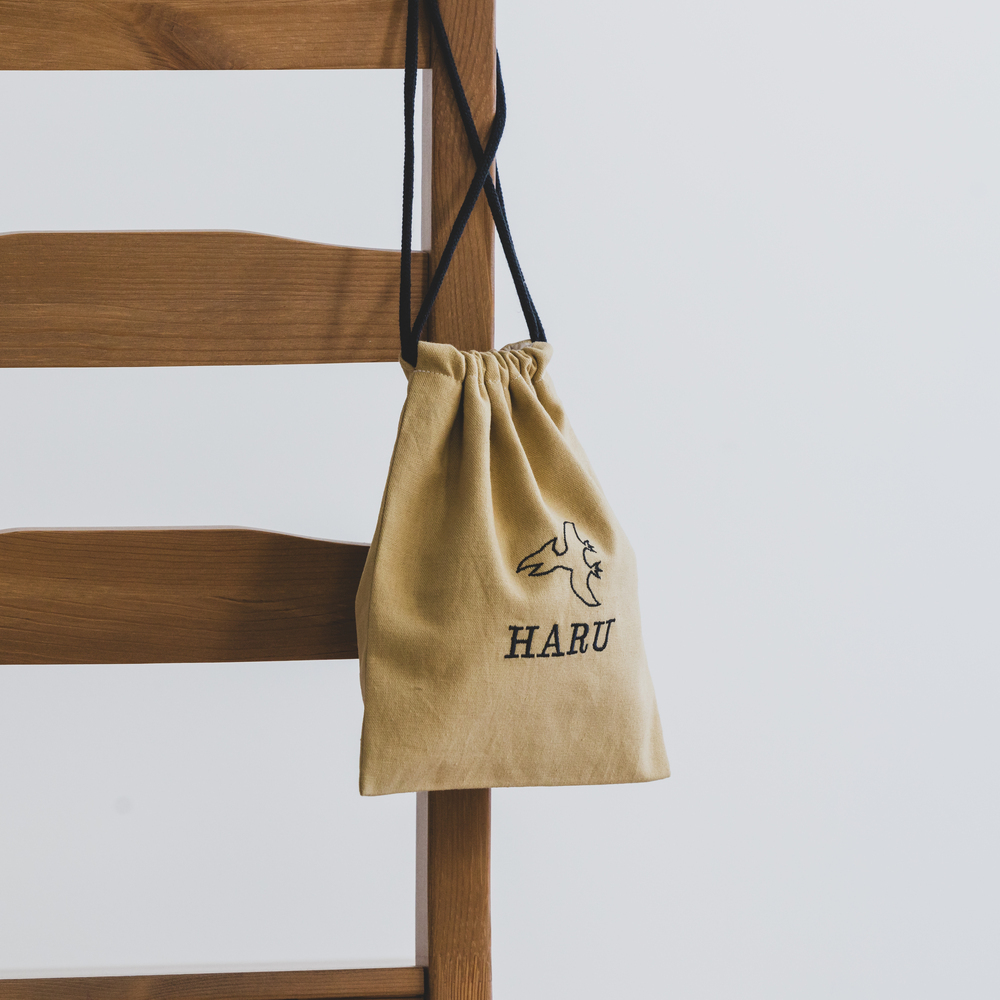 単品販売 恐竜刺繍 レッスンバッグ 上履き入れ お着替え袋 体操