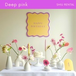 【往復送料無料】おうちスタジオレンタル　Deep pink〜ディープピンク〜