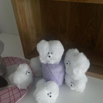 プチャサモエドのぬいぐるみ