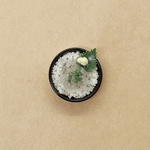 ミニチュアフード「生しらす丼」
