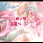 ❤️みぃ様専用ページ❤️