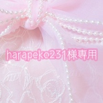 harapeko231様専用*❅·̩͙
