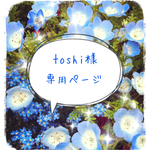 toshi様専用ページ