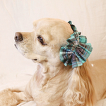 【再販！】中型犬用　シュシュ　チョコミント