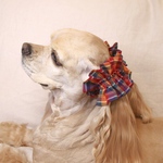【再販！】中型犬　シュシュ　イリゼ