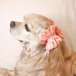 【再販！】中型犬用　シュシュ　ピーチパフェ