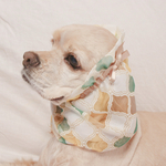 中型犬用　スヌード　レモンキャンディ