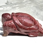 🌟目標達成の石🌟🐢ムーアカイトカメ🐢