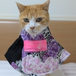 ギャル系浴衣ドレス