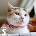《ザビエルS》小さいギンガム カシスピンク　猫の首輪