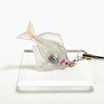 タナゴストラップ🐟アルビノバラタナゴ