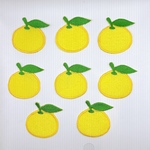 【訳あり商品】ゆずワッペン　8枚セット☆ きらりぼん