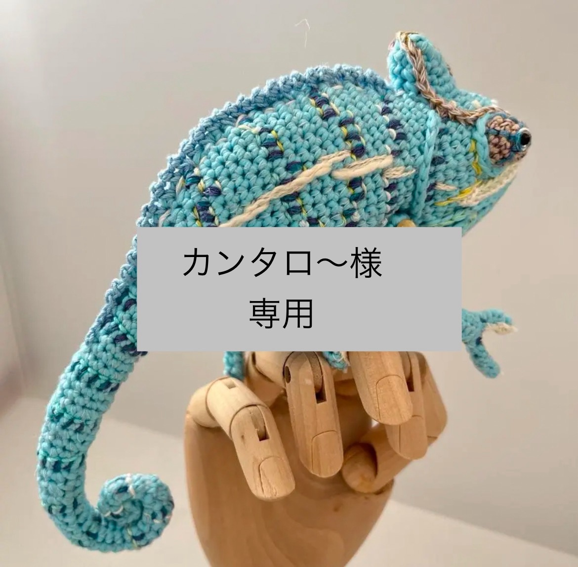 カーペットカメレオン - amikomi425 GALLERY | minne 国内最大級
