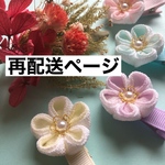 再配送ページ