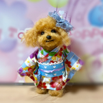 トイプードル 浴衣 羊毛フェルト 夏祭り ぬいぐるみ 置物