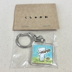 くしゃキー「みつけた！いいかんじのぼう」