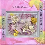 【レジン用】ピンク花材Box❁⃘*.ﾟ