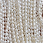淡水パール  ライス型  4〜5mm