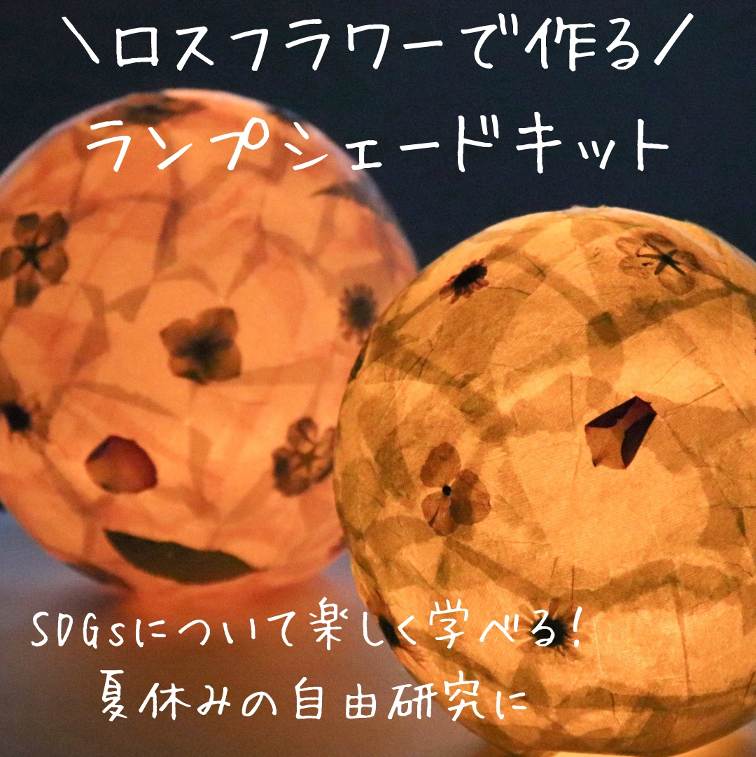 ドライフラワー】八重咲きコデマリ 淡色ミックス 着色 - m flowers
