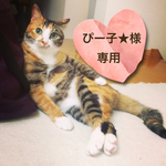 ぴー子★様 専用ページ